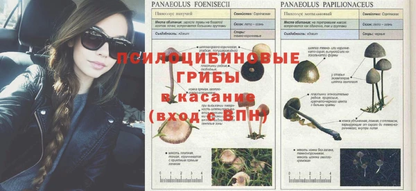 круглые Абаза