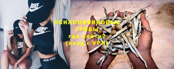 круглые Абаза