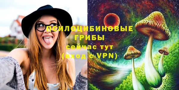 круглые Абаза