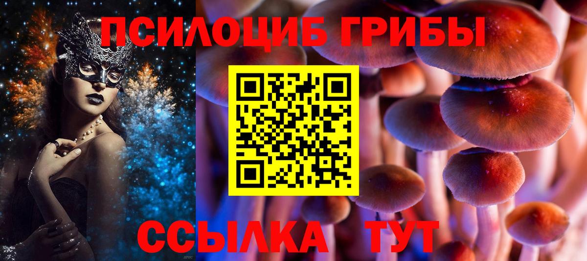 Псилоцибиновые грибы мухоморы  Псилоцибиновые грибы мицелий  Аксай  Вход с VPN 
